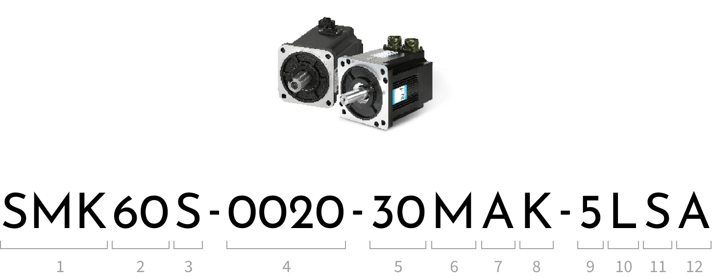 SMK60S-0020-30MAK-5LSA