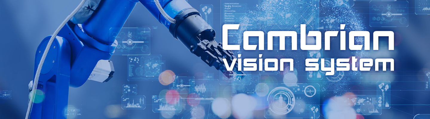 Cambrian Vision