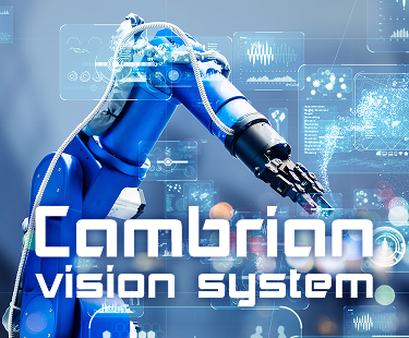 Cambrian Vision