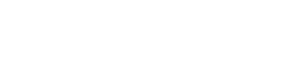 DMP DIGITAL MEDIA PROFESSIONALS